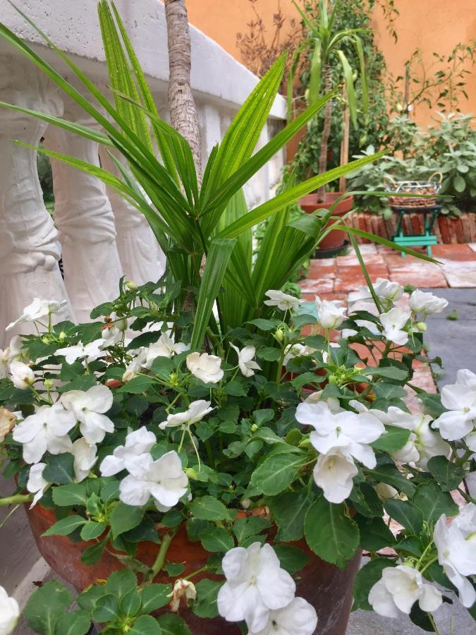 Residenza di Prestigio In Riva al Lago Marone LOFT Esterno foto