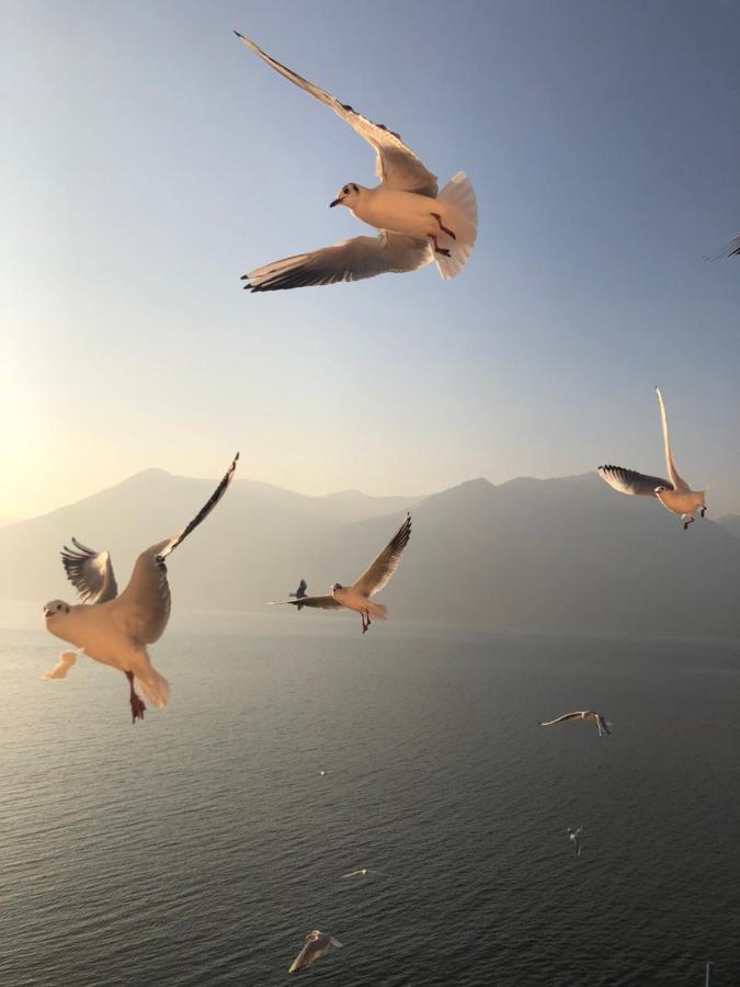 Residenza di Prestigio In Riva al Lago Marone LOFT Esterno foto